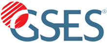 Global Sustainable Energy Solutions